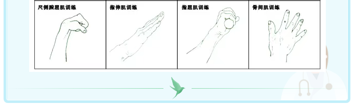 截肢綜論
