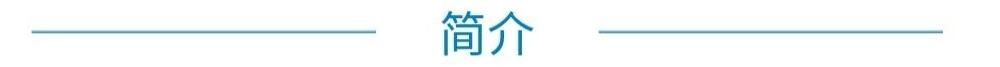 武漢上肢假肢——傲翼智能仿生手